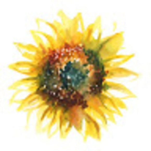 Meet your Posher, Choe - Picture 1 of 1